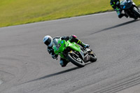 PJ-Motorsport-2019;anglesey-no-limits-trackday;anglesey-photographs;anglesey-trackday-photographs;enduro-digital-images;event-digital-images;eventdigitalimages;no-limits-trackdays;peter-wileman-photography;racing-digital-images;trac-mon;trackday-digital-images;trackday-photos;ty-croes